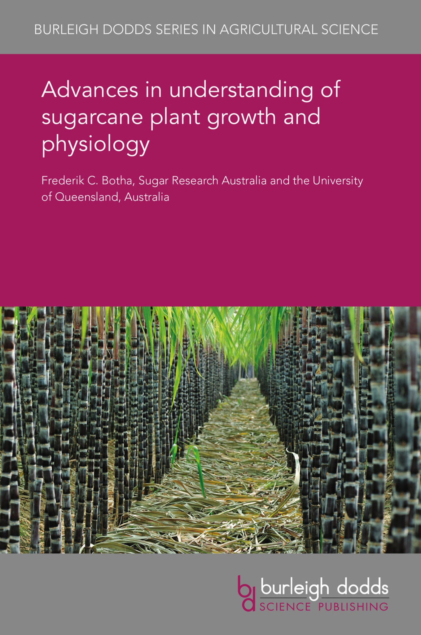 Cover image for Advances in understanding of sugarcane plant growth and physiology ISBN 9781838795801